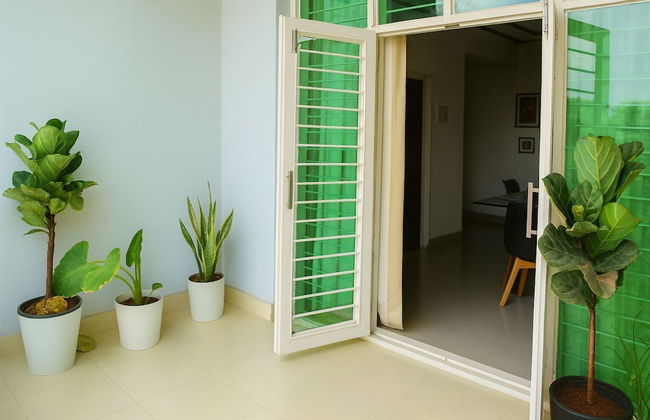 White Fern Stays - Foto 52