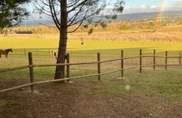 Domaine Saladry - Foto 41