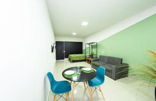 Jahu Center Plaza Flats - Photo 8