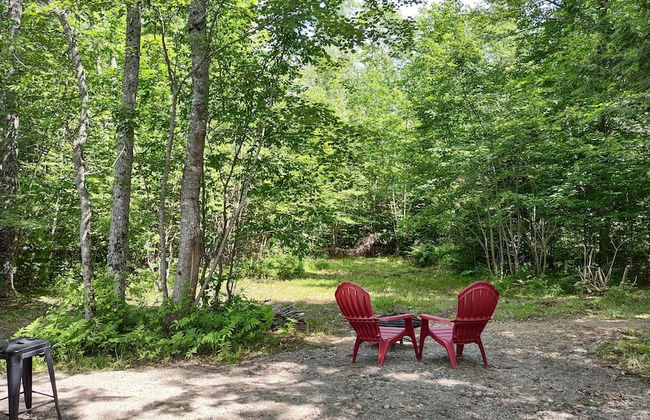 Schlafmans Hollow Solar Cabins - Photo 16