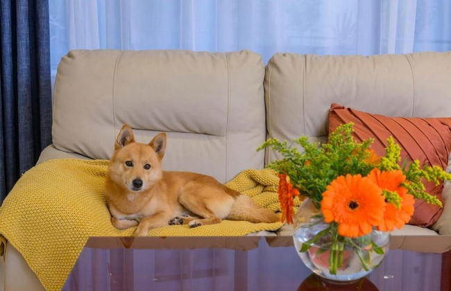 Park Place Apartments - Foto 29