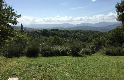 CASA DELLA LUCE private pool - Photo 19