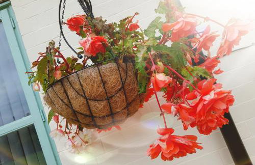 Chatterley House - Foto 129