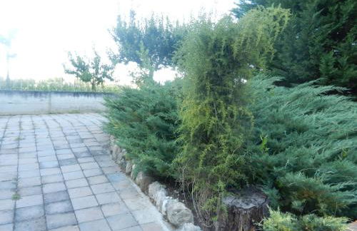 Il Gheriglio - Foto 33