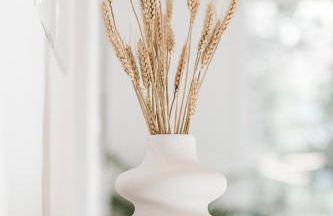 JAMA Natur Pur, Freies Parken, Gruppe&Familie - Foto 23