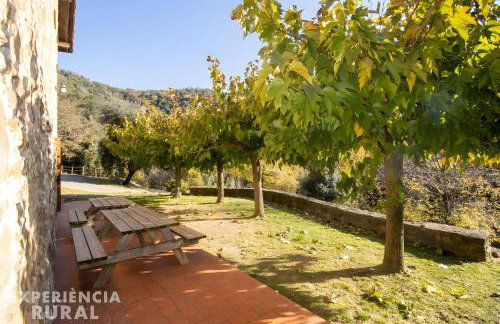 La Coma d'en Roca - Foto 30