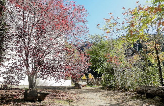 Alojamiento Rural Las Maravillas - Foto 36