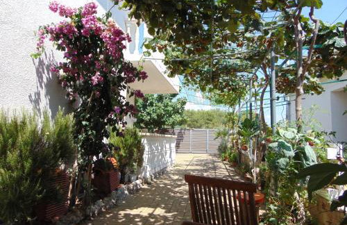 Apartments Petra - Photo 10