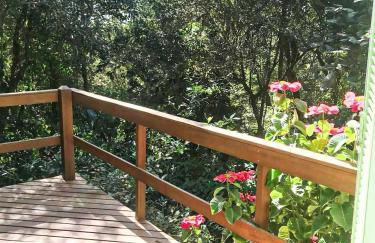 Loft Aconchegante em Meio à Natureza - Foto 6