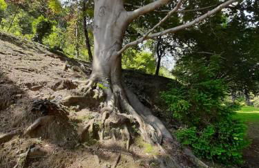 BMP APARTMENT GIOIOSA 1 terrazza vista Lago - Foto 7