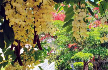 Casa Sitio Região dos Lagos 1200m2 terreno- S Pedro DAldeia - Photo 17