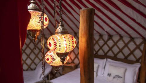 Oystercatcher - Foto 5