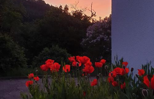 Ferienwohnung Felsenblick - Foto 35