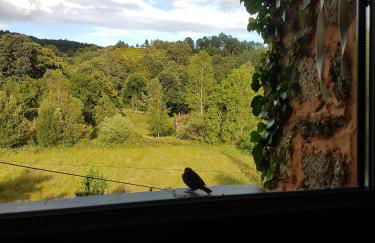 Abrigo Montesinho - Foto 32