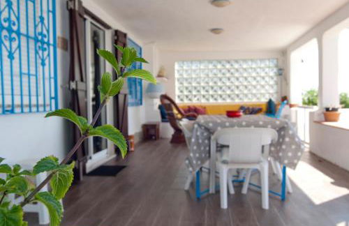 Sargantana Blava - Foto 14