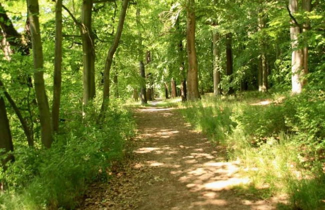 Holiday Home in Forest With Private Pool - Foto 34