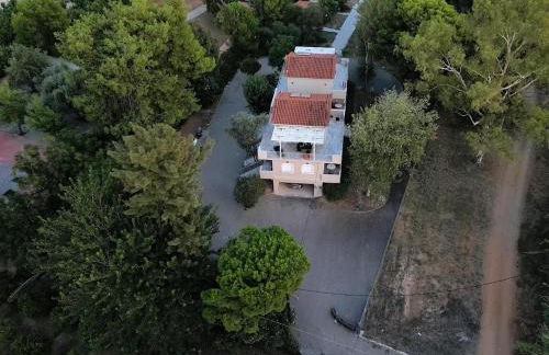 Porto Assini - Foto 46