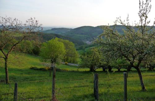 Maison dans le Beaujolais vert - Foto 10