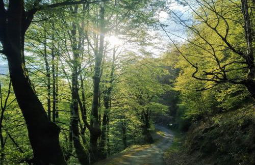 CASA RURAL Urruska - Foto 34