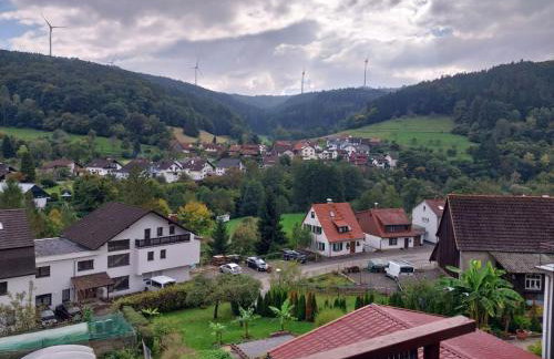Talblick & Ruhe in Hirschhorn Langenthal - Foto 1