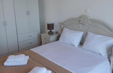 Aperanto House in Arnados, Tinos - Foto 27