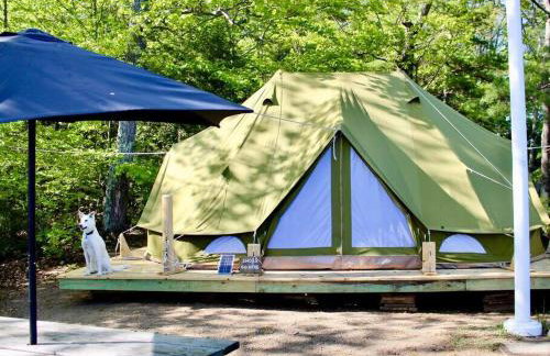 Island Tent Overlook in Maine - Foto 2