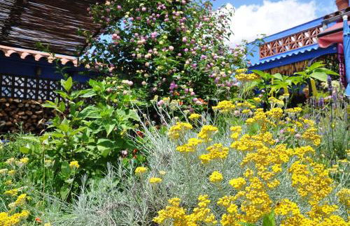 La Casita Azul, L'Escala, Con climatización - Foto 32