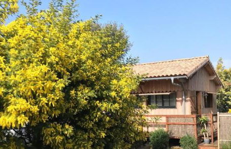 Gîte de l'océan, 3 étoiles - Les cabanes océanes, Montalivet - Foto 25