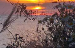 Sunlight Cave Agrilia - Foto 38