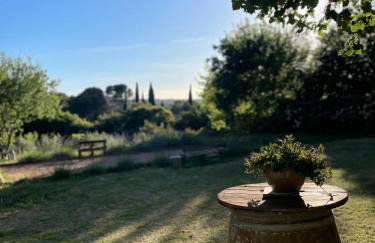Villa la Roma - Foto 18