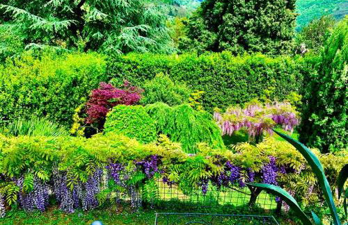 IL PICCOLO PARADISO - Foto 52