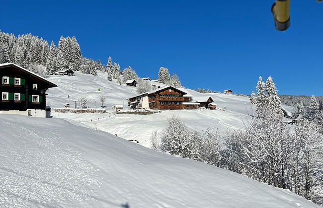 Bi-dr-gondamaika - Foto 40