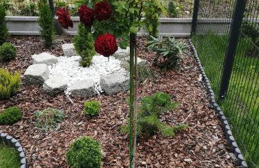 Apartament Zielone Wzgórze 2 - Foto 28