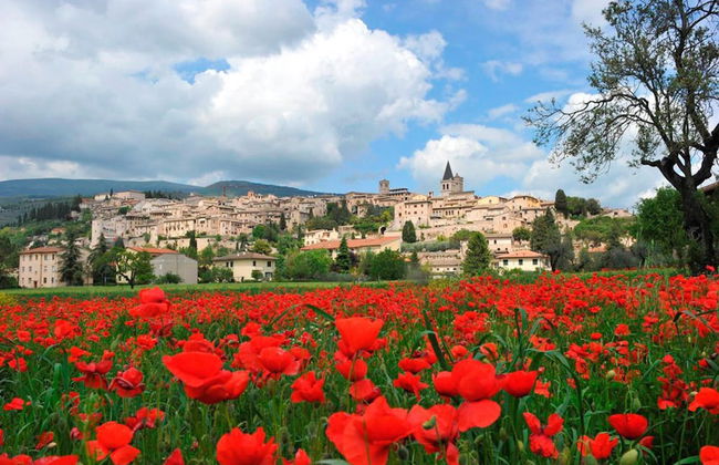 Coral Apt City Center - Foto 23