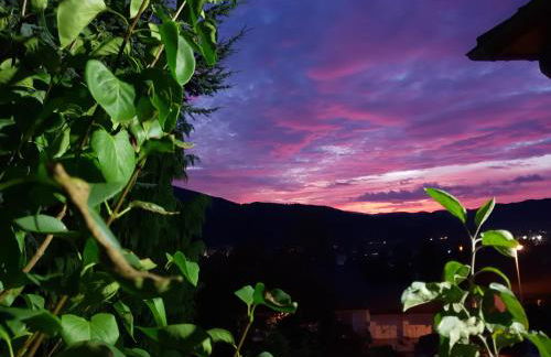 Ferienhaus Haus Herzog - Foto 40