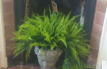 The Granary in The Square - Foto 12