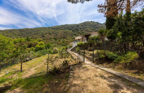 casa panoramica bouganville - Foto 75