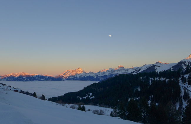 Le Cyclamen - Foto 37