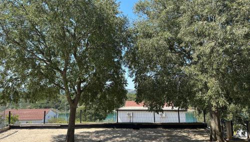 Apartmani Luka & Iva - Foto 2