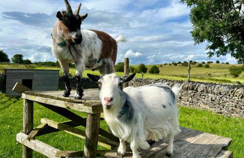 Dover Barn - Foto 18