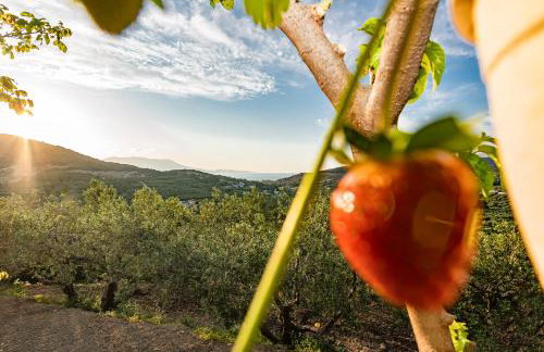 Rikanthos Stone Sea View Apartment Ι - Foto 35