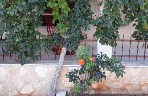 Apartments Anita - Foto 41