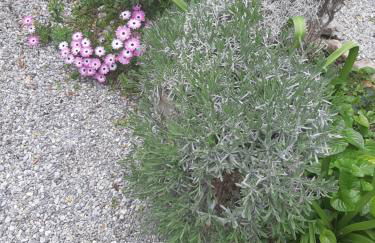 Villa Salvini - Foto 31