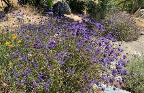 Peaceful & secluded, yet close to town. - Foto 34