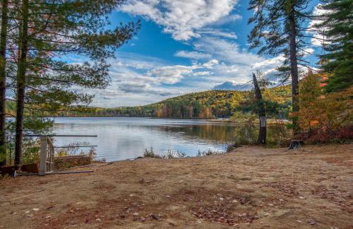 The Bear's Den - Foto 17