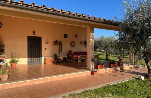 La tana dei Ricci - Foto 6