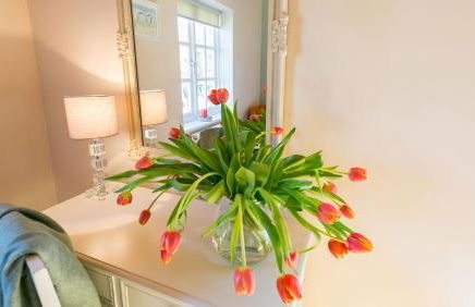 Glan Gors Felin - Foto 55