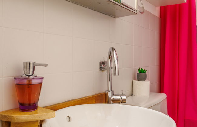 Rosablanche D13 - Photo 10