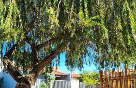 Chale para temporada - Bonito MS - Foto 7