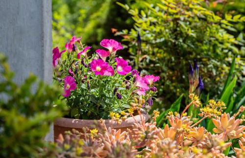 Panorama Villa Nestled Among the Vineyards Langhe - Foto 74